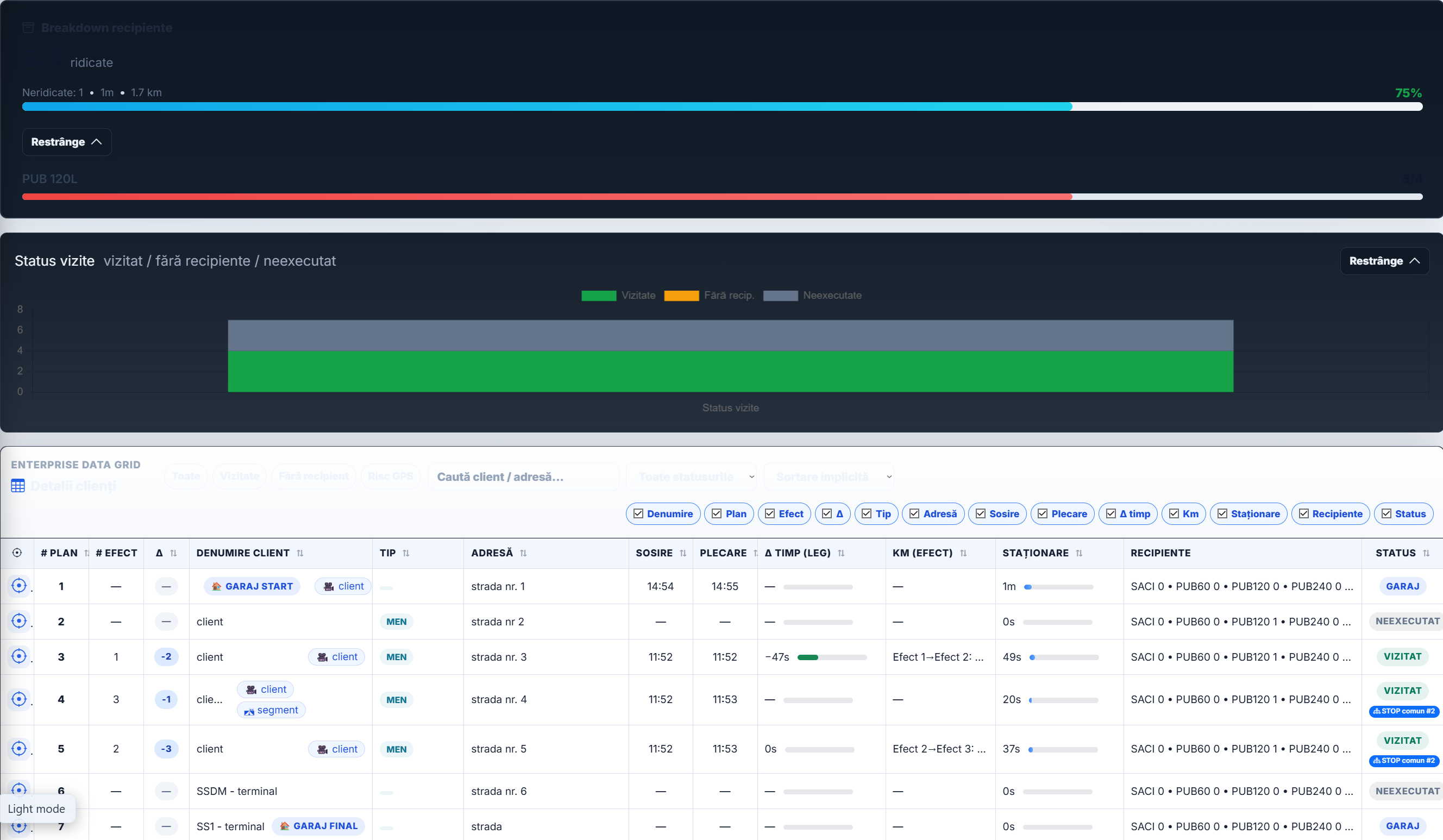 Snap-to-road preview bulk in rapoarte